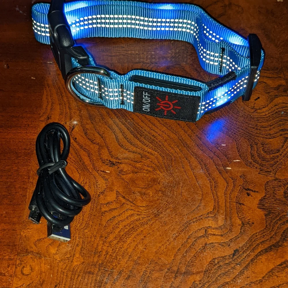 High Visibility Light Up Dog Collar Blue Size Small